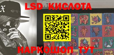скорость Бердск