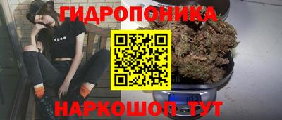 скорость Бердск