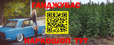 скорость Бердск
